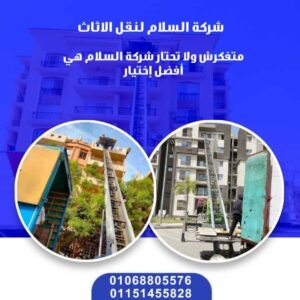 ونش رفع اثاث في بيتشو المعادي